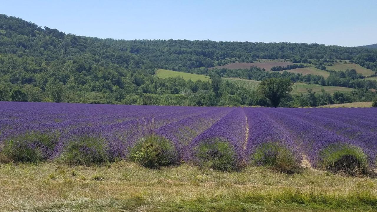 מלון Saint-Maurice-sur-Eygues La Fontaine Au Loup מראה חיצוני תמונה